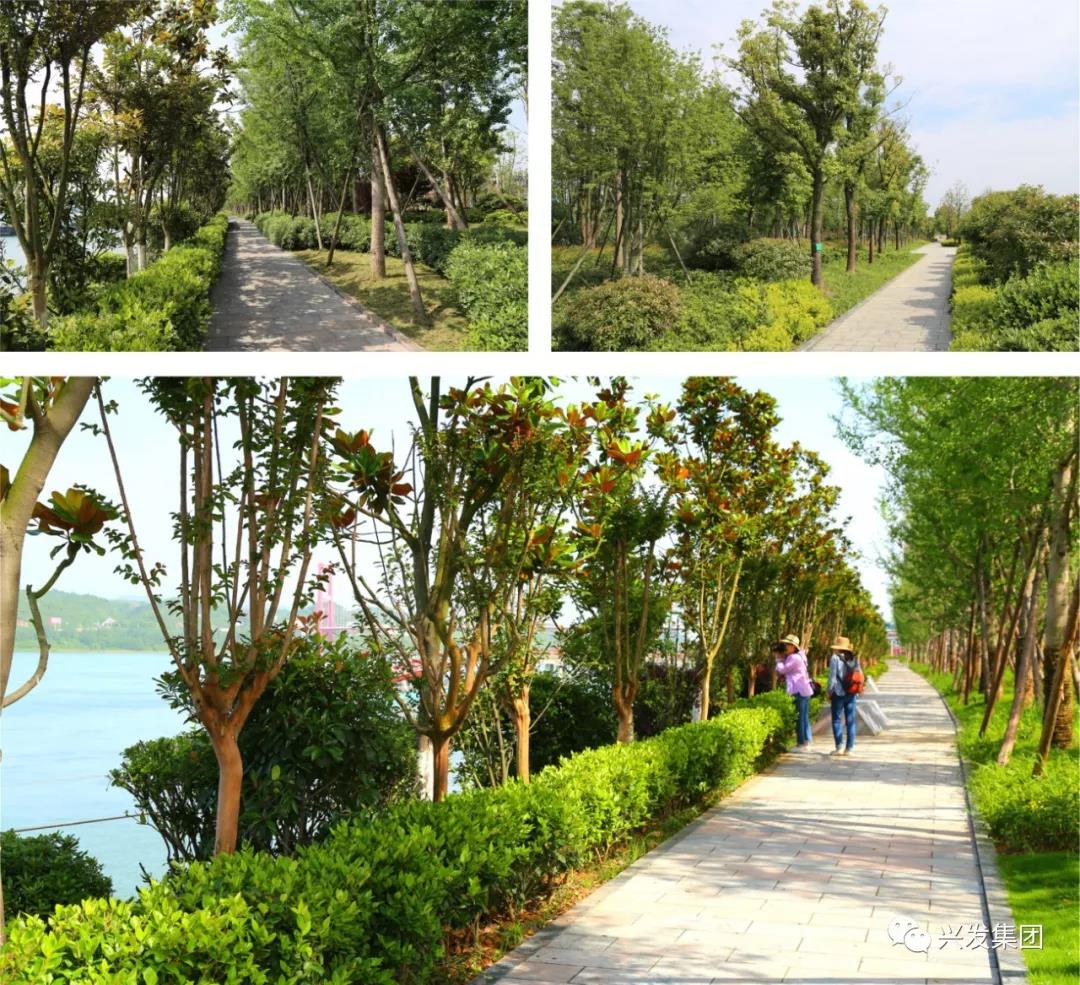 1589423409270315.jpg 微信图片_20200514101755.jpg